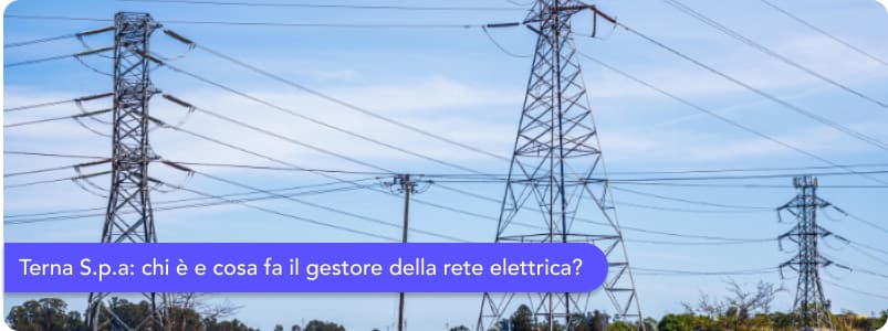 Terna Spa: scopri chi è, cosa fa e le altre informazioni utili