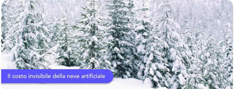 Il costo invisibile della neve artificiale: impatti e futuro dello sci