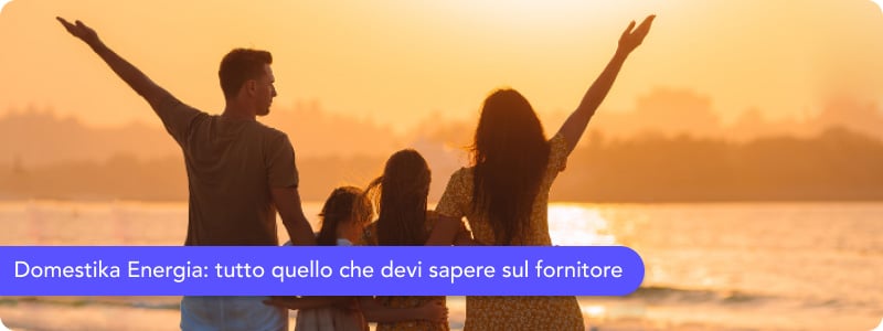 Domestika Energia: scopri recensioni, contatti utili e tutte le altre informazioni sul fornitore