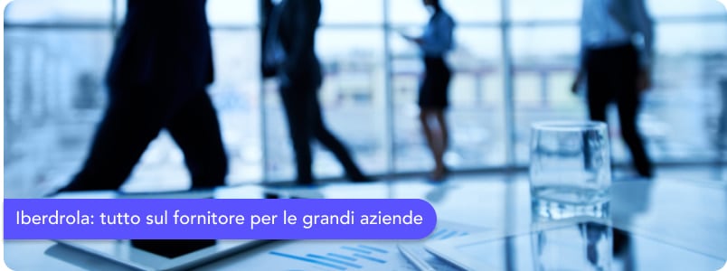 Iberdrola: ecco tutto quello che devi sapere sul fornitore per le grandi aziende