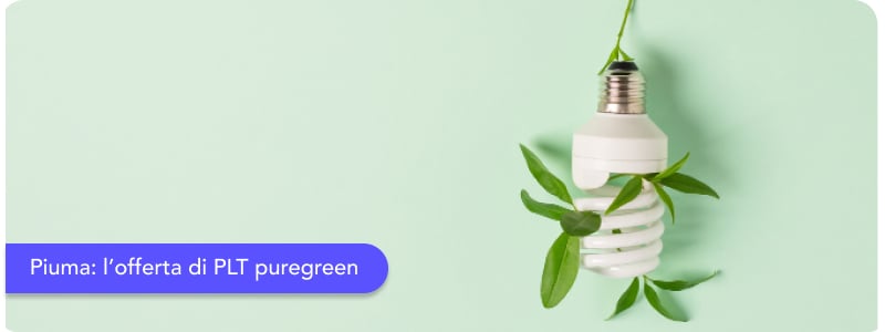 Piuma: l'offerta di Plt Puregreen