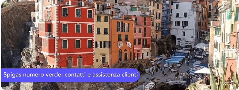 Spigas numero verde: contatti e assistenza clienti