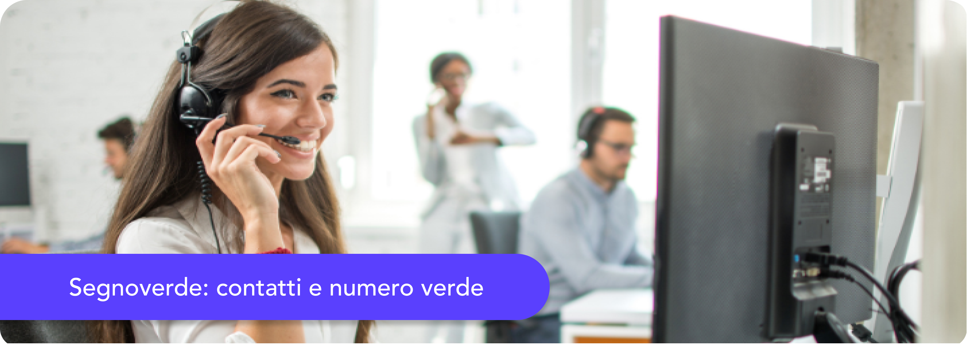 Tutti i contatti Segnoverde: numero verde e area clienti