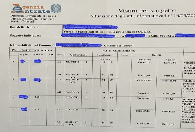 Visura catastale: che cos’è ed i vantaggi di richiederla online