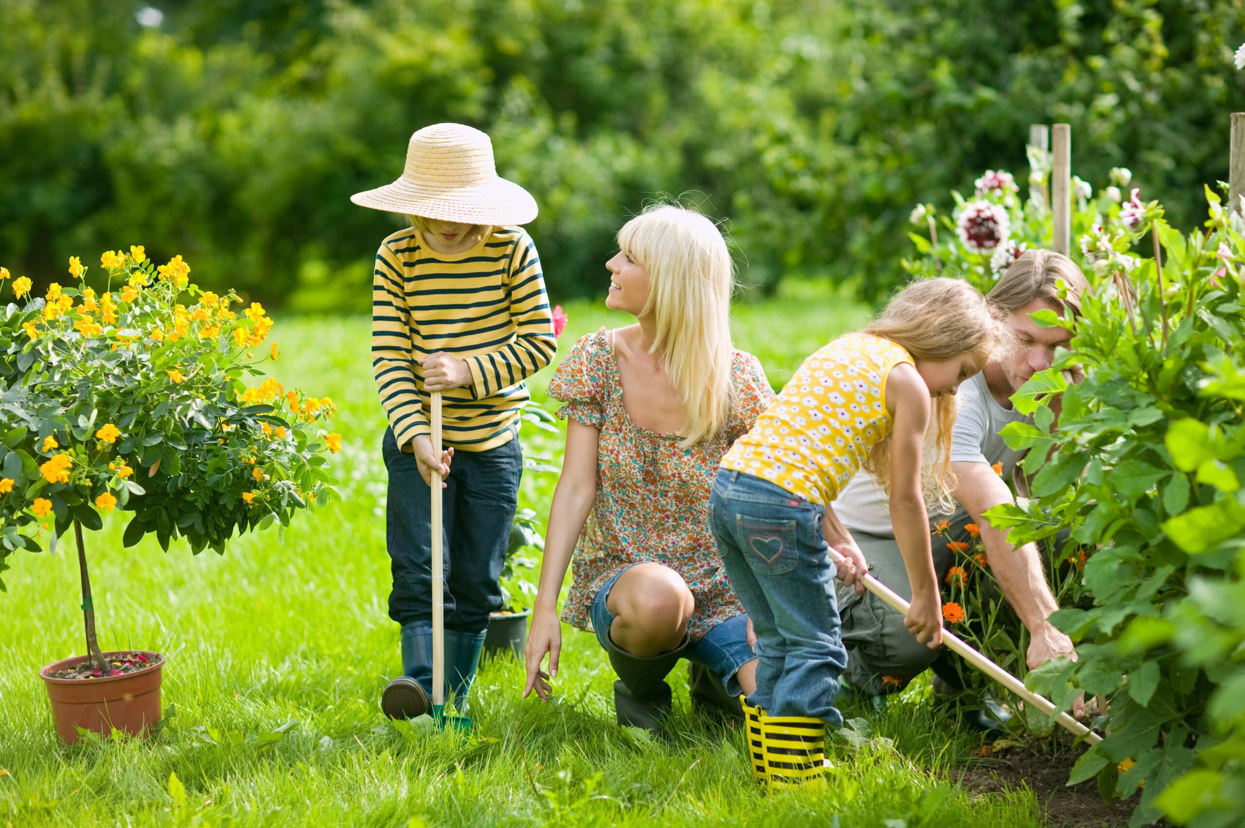 Giardinaggio e coltivazione casalinga: ecco tutti i consigli per decorare il tuo giardino
