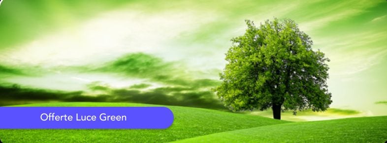 Offerte Luce Green: quali sono e come scegliere le tariffe sostenibili