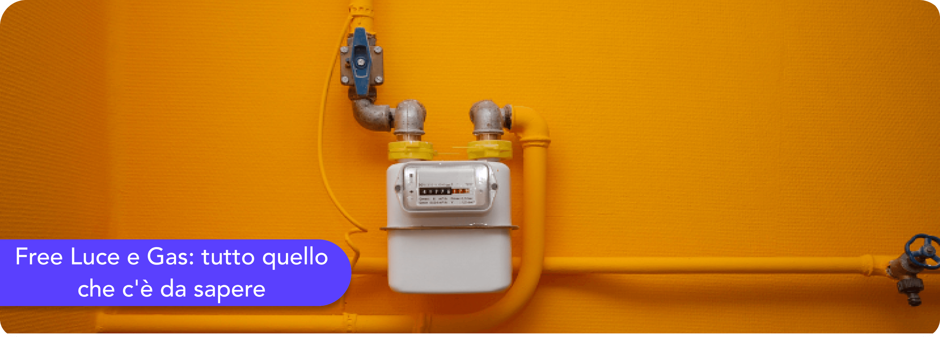 Free Luce e Gas: informazioni, offerte e accesso all'area clienti